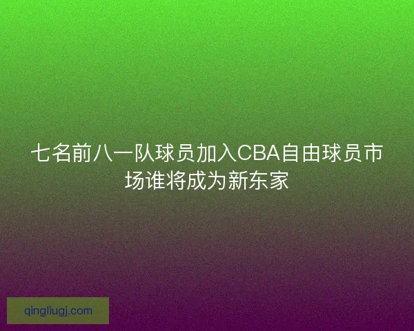 七名前八一队球员加入CBA自由球员市场谁将成为新东家